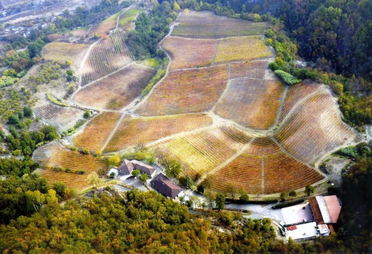 Cascina Bertolotto Wine Resort Spigno Monferrato Ngoại thất bức ảnh