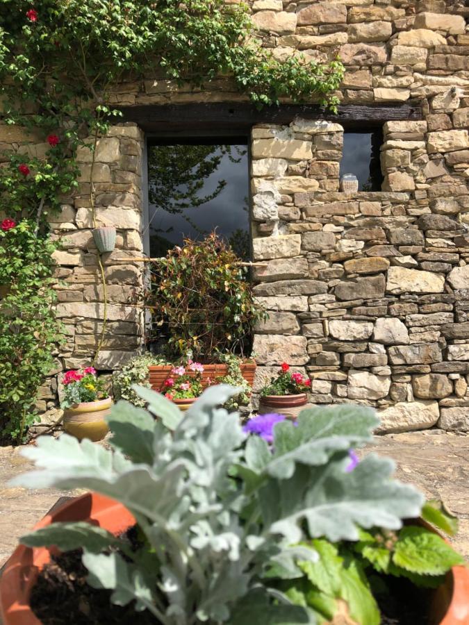 Cascina Bertolotto Wine Resort Spigno Monferrato Ngoại thất bức ảnh