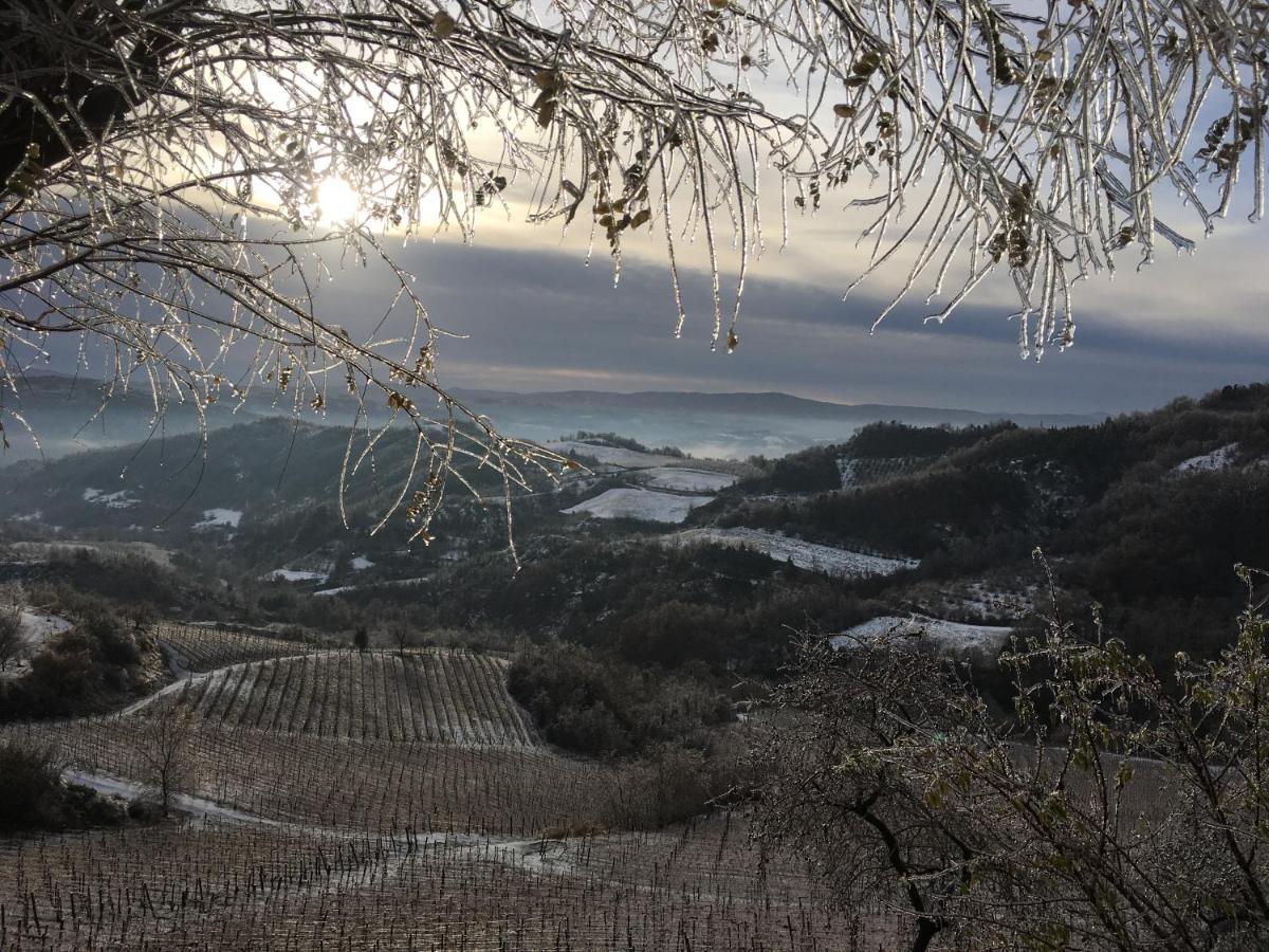 Cascina Bertolotto Wine Resort Spigno Monferrato Ngoại thất bức ảnh