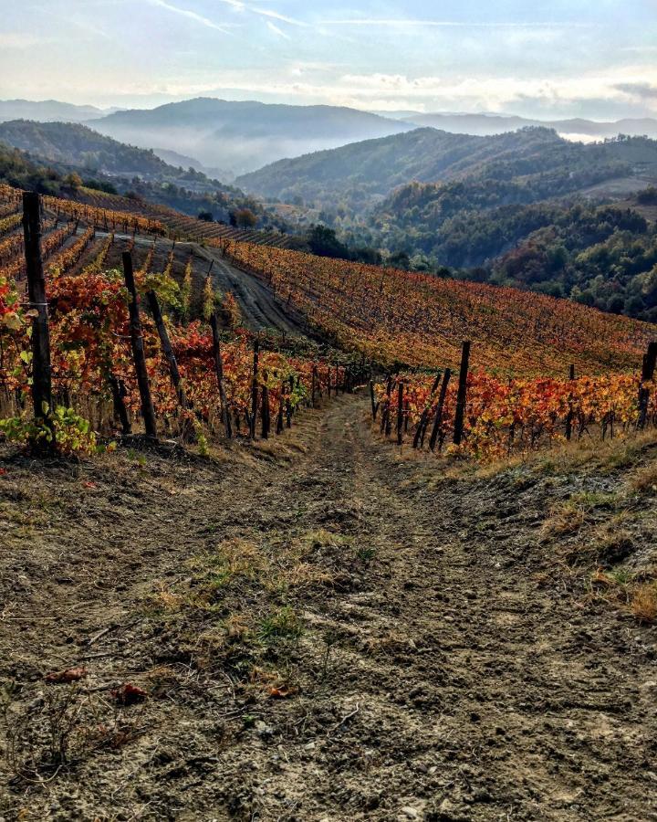 Cascina Bertolotto Wine Resort Spigno Monferrato Ngoại thất bức ảnh