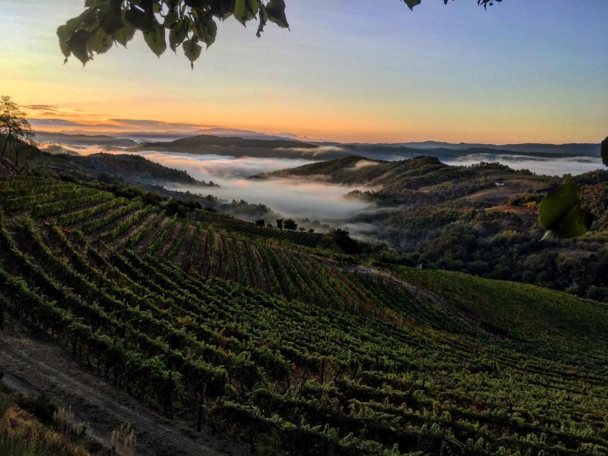 Cascina Bertolotto Wine Resort Spigno Monferrato Ngoại thất bức ảnh