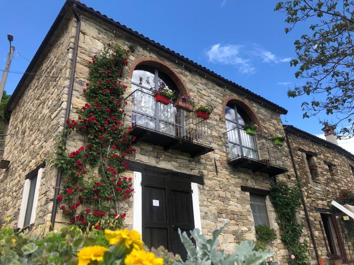 Cascina Bertolotto Wine Resort Spigno Monferrato Ngoại thất bức ảnh