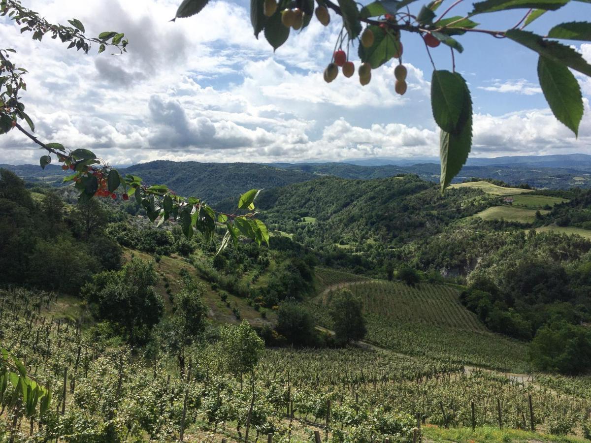 Cascina Bertolotto Wine Resort Spigno Monferrato Ngoại thất bức ảnh