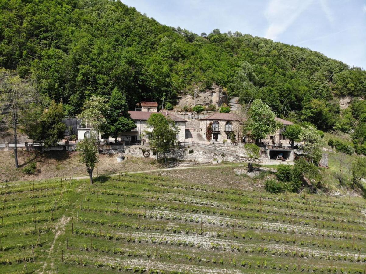 Cascina Bertolotto Wine Resort Spigno Monferrato Ngoại thất bức ảnh