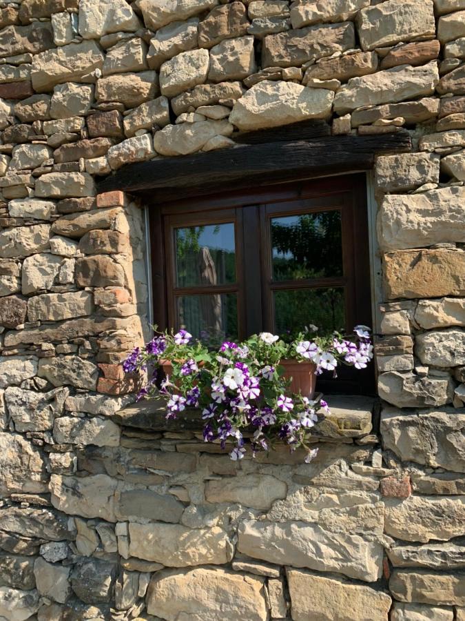 Cascina Bertolotto Wine Resort Spigno Monferrato Ngoại thất bức ảnh