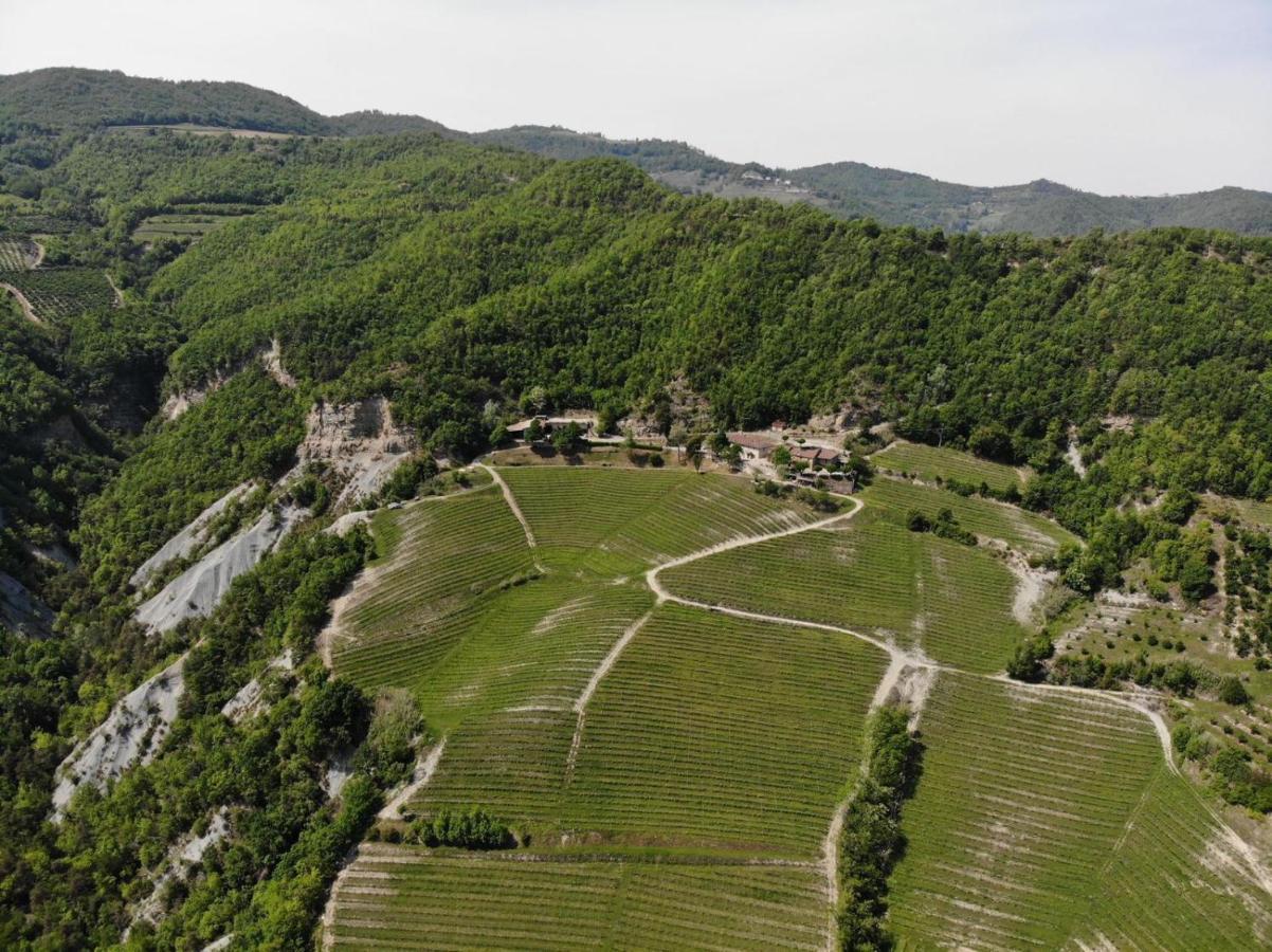 Cascina Bertolotto Wine Resort Spigno Monferrato Ngoại thất bức ảnh