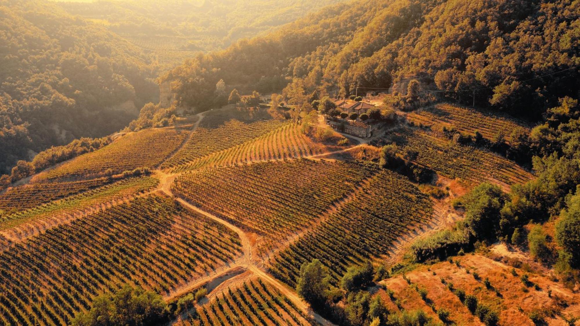 Cascina Bertolotto Wine Resort Spigno Monferrato Ngoại thất bức ảnh